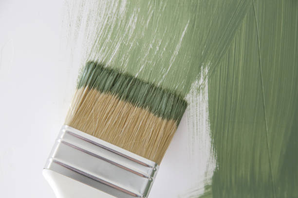 Best Mold Odor Removal Services  in Tonganoxie, KS