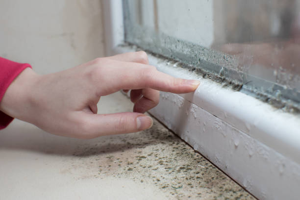 Best Indoor Air Quality Assessment  in Tonganoxie, KS