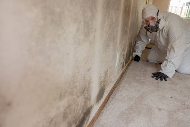 Best Residential Mold Inspection & Testing  in Tonganoxie, KS