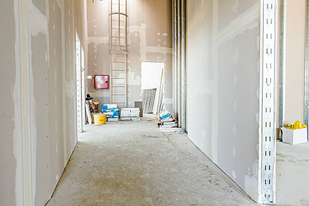 Best Real Estate Mold Inspection  in Tonganoxie, KS
