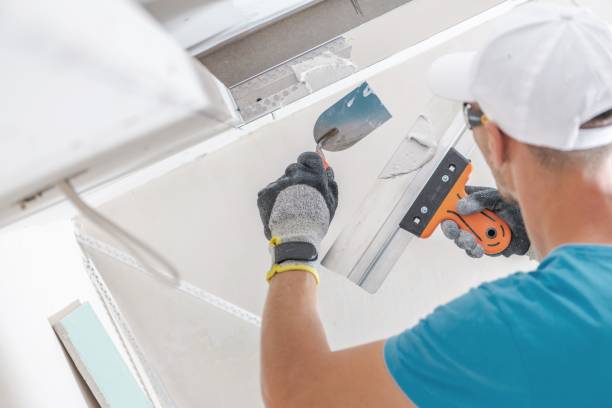 Best Asbestos and Lead Testing During Mold Inspection  in Tonganoxie, KS